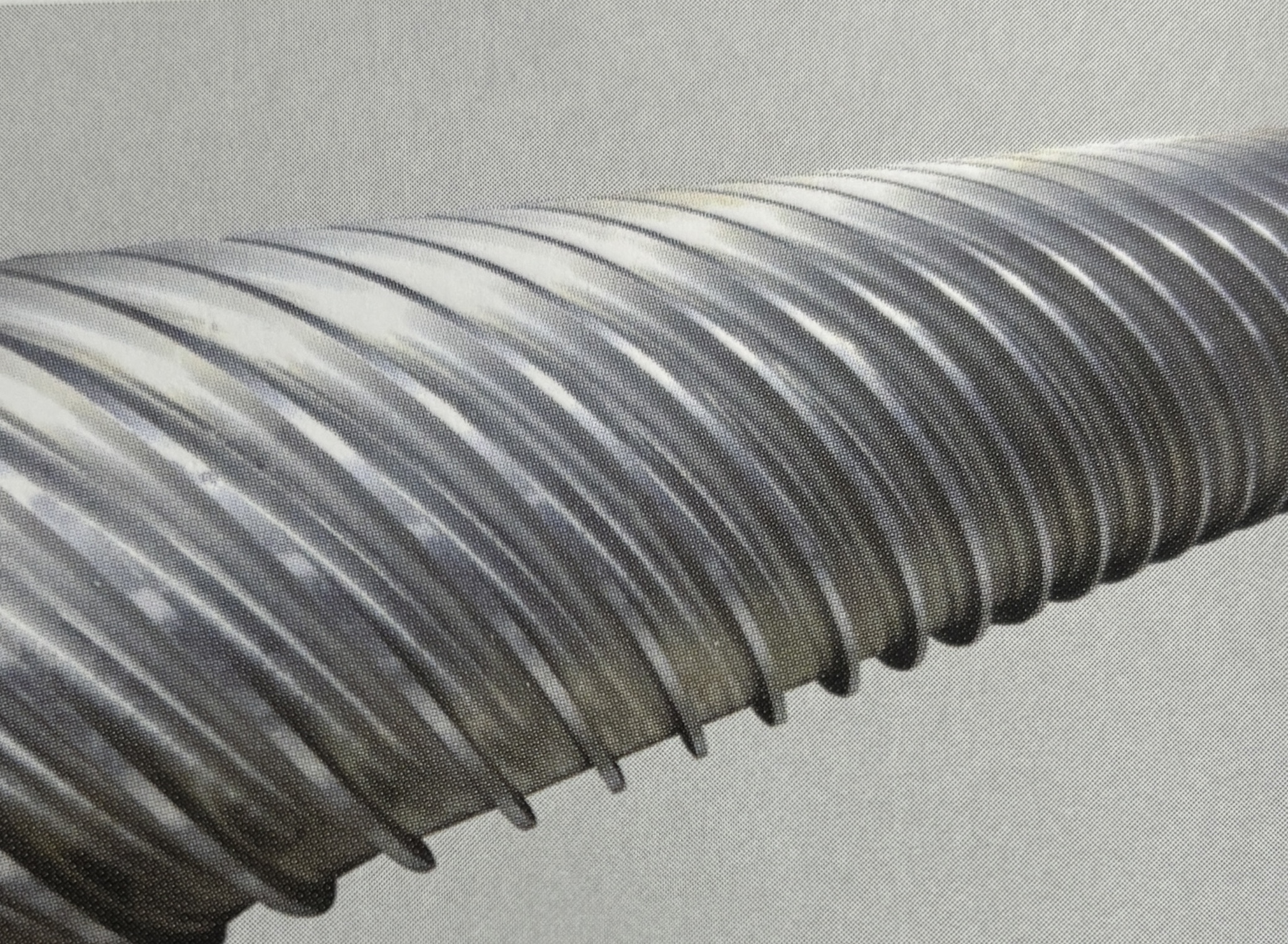 Dünnwandige, effiziente Walze